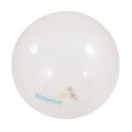 pilka-do-skakania-jingling-ball-gymnic.jpg